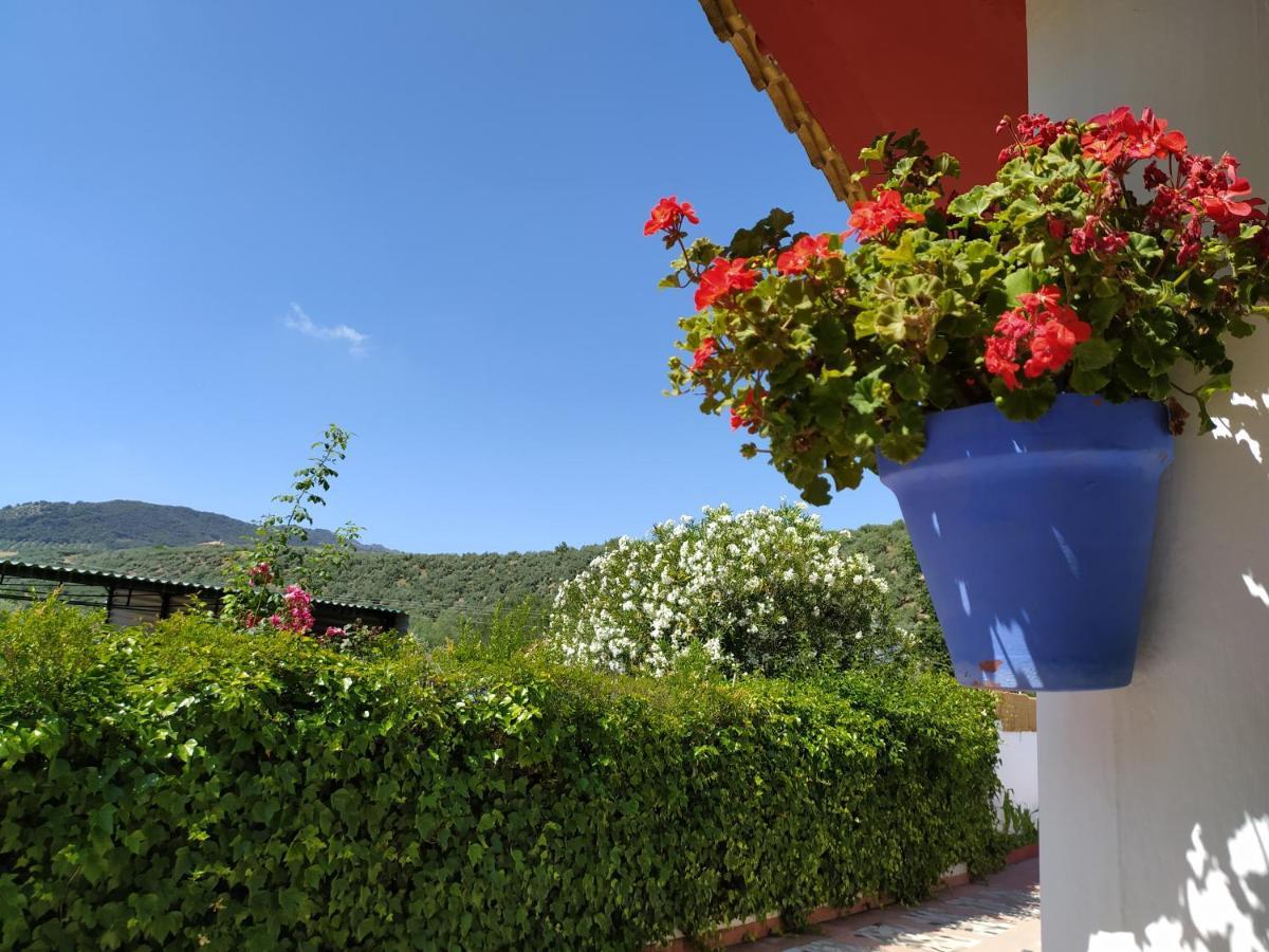 Villa Frasquita Priego De Cordoba Exterior photo