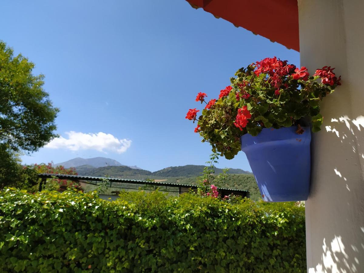 Villa Frasquita Priego De Cordoba Exterior photo